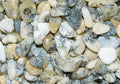 Opal - dendriten - Kristallstab C-Füllung