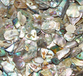 Pauamuscheln buntschillernd - Kristallstab C-Füllung
